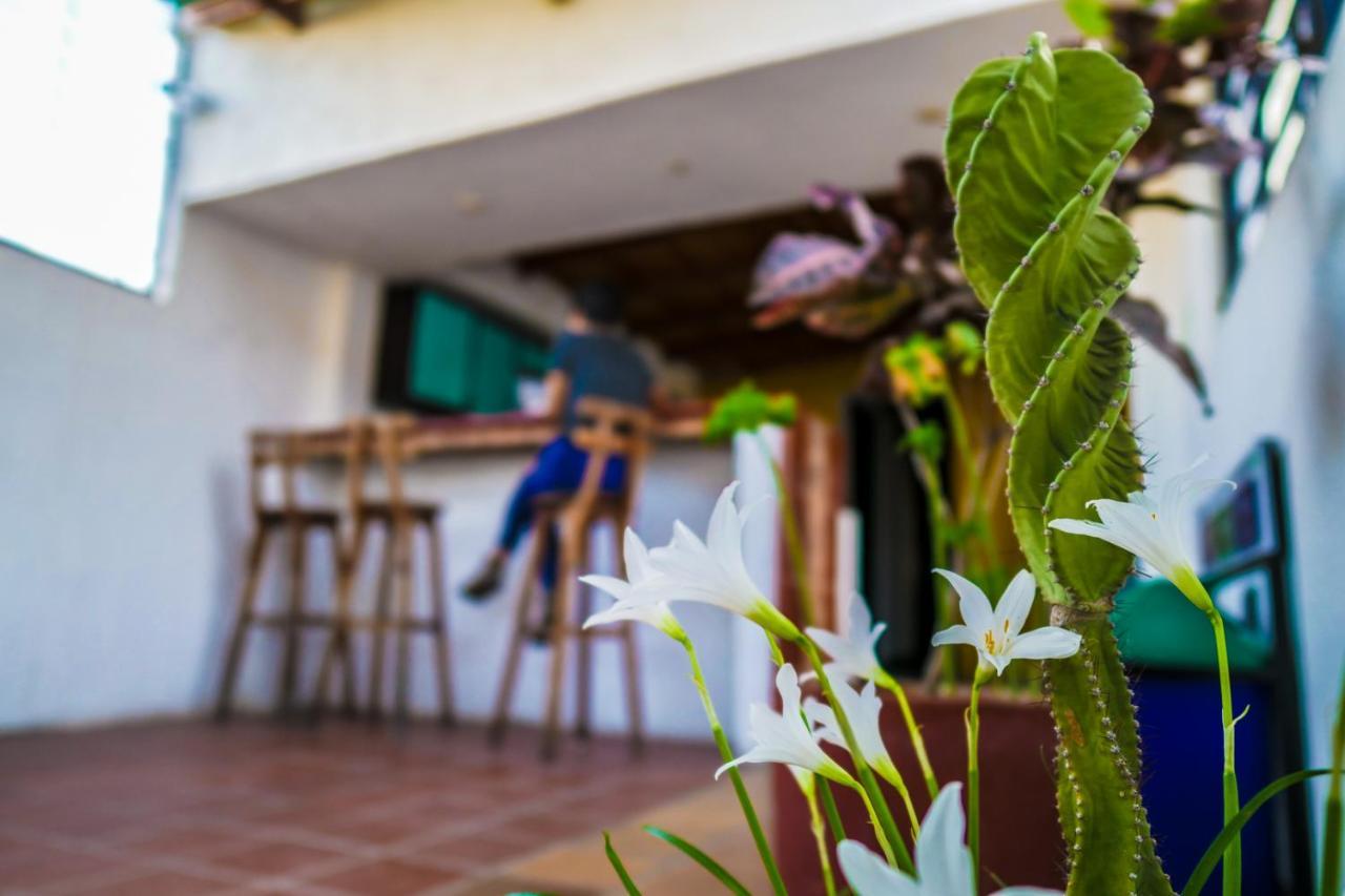 Aluna Hostel B&B Santa Marta  Bagian luar foto